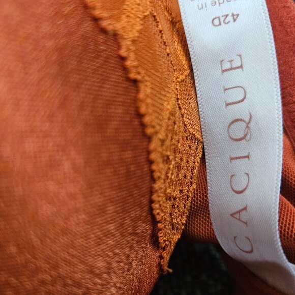 Cacique By Lane Bryant stunning support orange underwire lace bow bra 42D - Picture 8 of 8